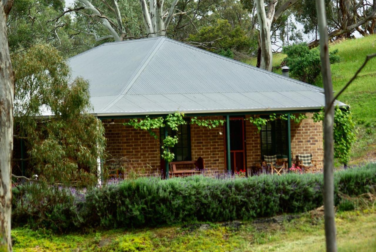 Battunga Cottages Watervale Kültér fotó
