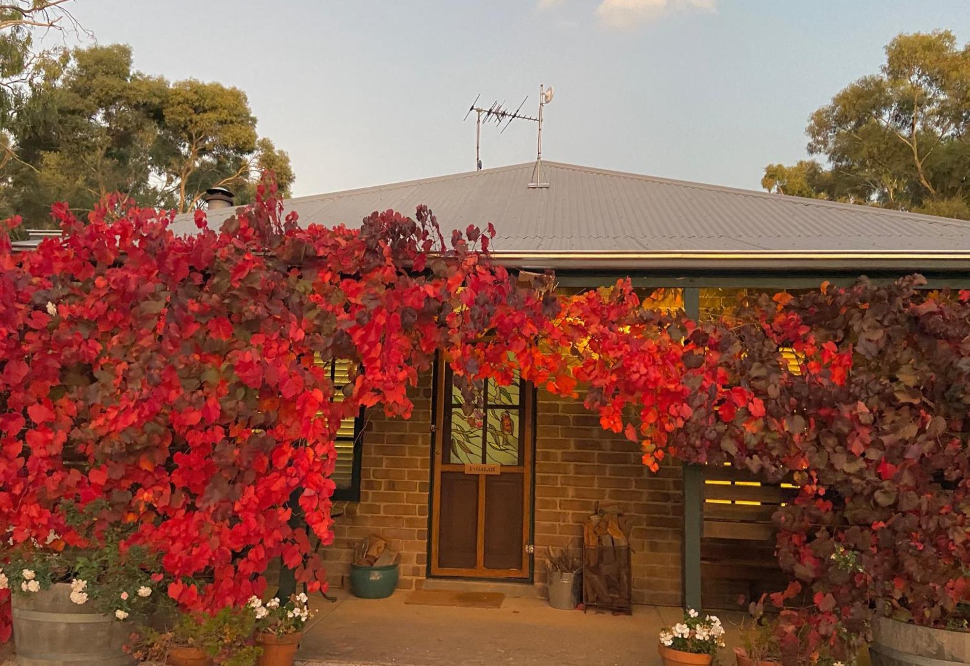 Battunga Cottages Watervale Kültér fotó